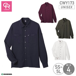 yX[p[Z[N[|zCWY-173 jbgVc jp Y fB[X jZbNXΉ z Le[v L[ CAREAN  A ^ | X^bt  ei