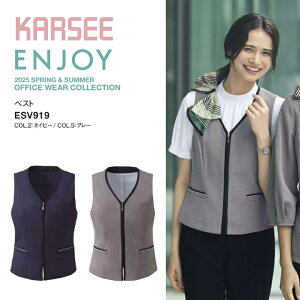 xXg ESV919 ESV-919 fB[X p ItBX   esv919 esv-919 J[V[ O[ lCr[  z  UVJbg TChxc w jbgbVn 傫TCY 15 17 