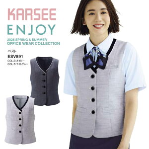 yzxXg ESV891 ESV-891 fB[X p ItBXEFA   esv891 esv-891 J[V[ GWC O[ lCr[    ɂ z  Ђ h  