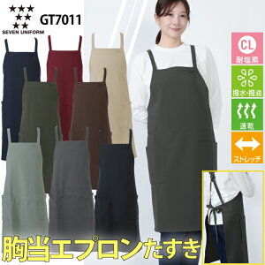 Gv Gv  X^ ZujtH[ GT7011 ~[  Vv ωf    ɂ Xgb` ₷ Xg JtF  iX H IV 