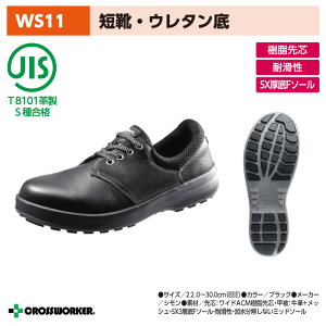 V SC WS11 SZC jpy29-30cmz