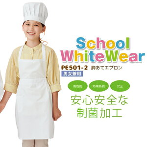 y[֑zăGv PE501-2  HGv jp LbY p qp wp  XbN ăGv w wZ H K ƒ Zu 