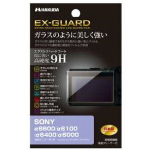 �n�N�o EXGF-SA6600 �t���ی�t�B���� (�\�j�[ SONY ��6600 �^ ��6100 �^ ��6400 �^ ��6000 ��p)