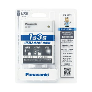 pi\jbN BQ-CC91 USBo͕t[d BQCC91