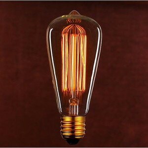���p�d�� 110V40W ST64 F2 E26 ���B���e�[�W�����v �d���F