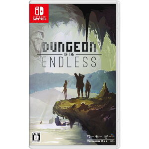 �_���W���� �I�u �W �G���h���X�iDungeon of the ENDLESS(TM)�j Nintendo Switch�@HAC-P-AVDBC