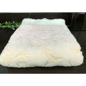 쑺^I [oX^I [ 70×120cm PI