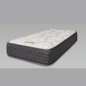 [�_�u��]Sealy SHS�X�^���_�[�hTT �O���[�W�� SHSSTTTDM