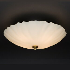 ��ˉƋ� �V�[�����O�uSAN-555�^4�v ��6�`8���p