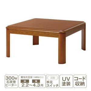 yiz[`80×80] YKFSR80H1T Eh^ ƋR^c uE Ehr 300WΉpǃq[^[ 茳XCb`