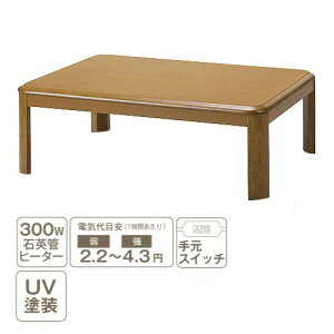 yiz[`105×75]YKFRR105H1T Eh^ ƋR^c uE Ehr 300WΉpǃq[^[ 茳XCb`