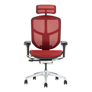 Ergohuman Enjoy2 �G���S�q���[�}�� �G���W���C2 EJ2-HAM-BF-RD �u���b�N�t���[��×���b�h���b�V�� �n�C�o�b�N