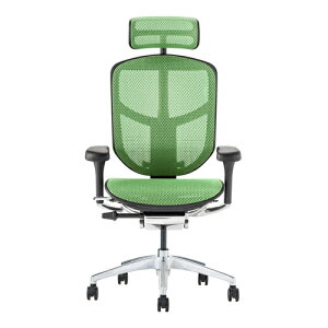 Ergohuman Enjoy2 �G���S�q���[�}�� �G���W���C2 EJ2-HAM-BF-GN �u���b�N�t���[��×�O���[�����b�V�� �n�C�o�b�N