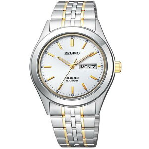 �V�`�Y�� KM1-113-13 REGUNO ���O�m �\�[���[�e�b�N �X�^���_�[�h 10�C���h�� �b�j��~�@�\ �X�e�����X���f��