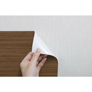 aOrA MSI-2030 }OlbgV[g ؖ _[NuE