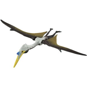 ^Jg~[ AjA WVbNE[h Pc@RAgX