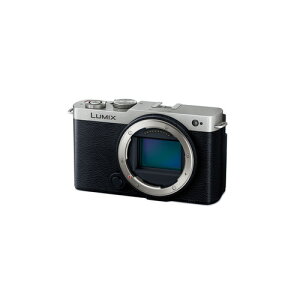 �p�i�\�j�b�N DC-S9-S �t���T�C�Y �~���[���X�J���� �{�f�B�̂� LUMIX �_�[�N�V���o�[ DCS9S