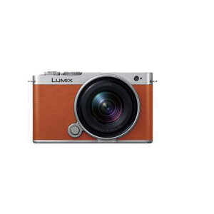 pi\jbN DC-S9N-D S9 LpY[YLbg ~[XJ LUMIX LIW