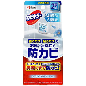 W\ JrL[ CɒuhJrWF ₳t[̍  2P