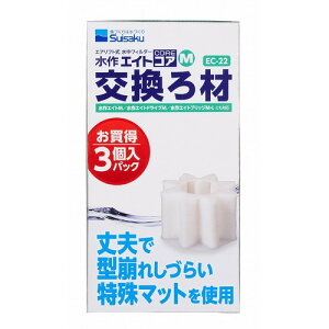  GCgRAM 3P