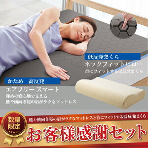 【在庫限り】【大処分SALE特価!】ショップジャパン トゥルースリーパーエアフリースマート&ネックフィットピローセットHSETWS13 シングル 高反発マットレス 低反発まくら