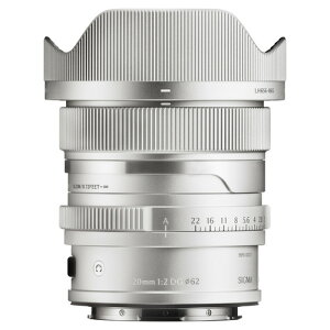 �V�O�} AF 20MM F�^2 DG (C) (SL) �����p�����Y Contemporary ���C�JL�}�E���g�p