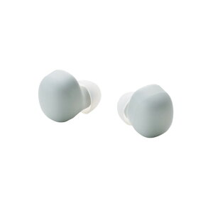 GR LBT-TWS19CSGN CXCz Bluetooth 5.2 ^[dP[X Type-C [t