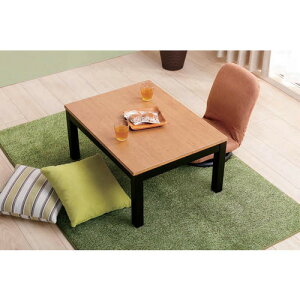 [`80×60]}_ZNg YKZ8060SK2 |˔V | q[^[ʔ