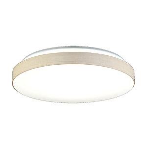 HotaluX HLDC12435SG LED�V�[�����O���C�g 12�� ���F 4,800lm �z�^���b�N�@�\���� ���񂽂񗯎�^�C�}�[