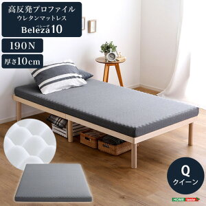 �z�[���e�C�X�g ORM-10Q--GY �������v���t�@�C���E���^���yBeleza10-�x���[�U�E�e���[�z(�N�C�[��) �O���[
