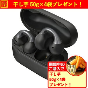 �p�i�\�j�b�N RB-C10-K ���S���C�����X�C���z�� �I�[�v���^ 11mm�h���C�o�[���� ���R��ጸ���[�h �h�� Bluetooth�Ή� �u���b�N