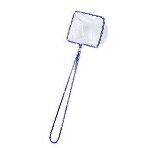 _CgEuN@GrA~iLjwb_[t No.1124 @CVԁ@ނ菬