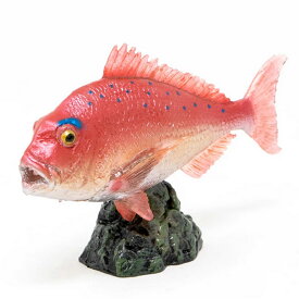 FAVORITE フェバリット　AQUA FISH MINI MODEL アクアフィッシュミニモデル　AF-204 マダイ　フィギュア