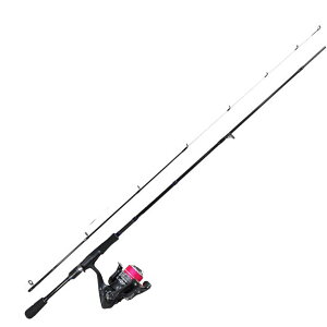 AWOEoZbg@bhLIGHT VERSAL LV-762ST 229cm@[ALENZA 2500AS@bhƃ[Zbg@