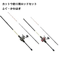 楽天市場】プロトラスト アネスタの通販