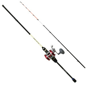 vgXgPROTRUST@AlX^ANESTA@JbgE155@RIDESHIP@100@bh[Zbg@tOނ@ӂ@JnM@