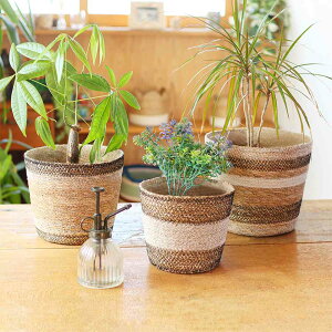 TMC�@�o�X�P�b�g �R�j�J���@3SET�@�V�[�O���X���W���[�g�@13625-820-414�@4589450038246�@�v�����^�[�J�o�[�y�|�C���g5�{�z�y1�����܂Łz