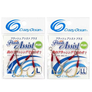 NCW[I[V CRAZY OCEAN tbVAVXgplus L/LL 2{ tbN j