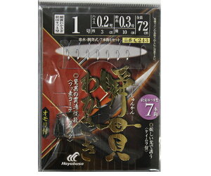 nuT HAYABUSA uт킩 HcLcl^7{b d| E TrLJTMނd|