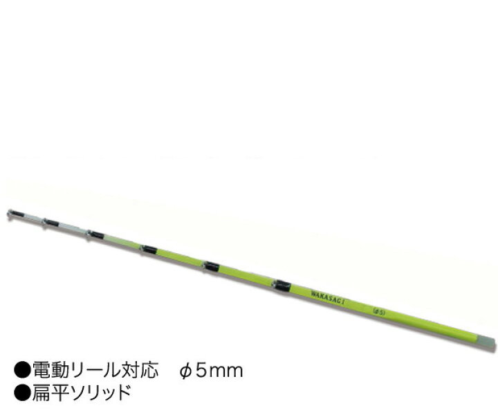 定番スタイル プロトラスト ワカサギ穂先 1 25 30 ワカサギ竿 Riosmauricio Com