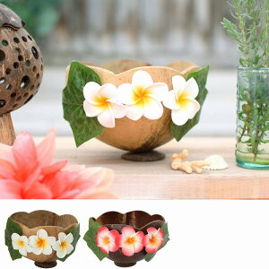 TMC ココナツボウル リーフ&プルメリア 【ポイント5倍】【11月末まで】