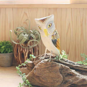 TMC ؒX^h~~YN@y|Cg5{zy11܂Łz