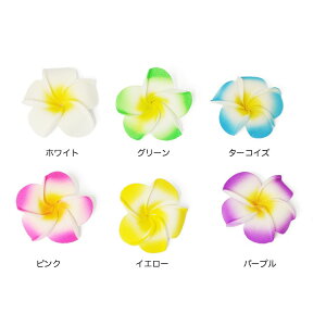 TMC t[eBOvA STCY 100Zbg@y|Cg5{zy1܂Łz