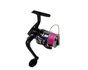 vgXg PRO TRUST ALENZA ( AU ) 2500AS 209251 XsjO[y y zy  ( kC E ꏜ ) zGg[f PEC