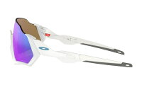 【正規商品販売店・保証書付】OAKLEY(オークリー)FLIGHTJACKETPRIZMフライトジャケットプリズムOO940194010237スポーツサングラス【あす楽_土曜営業】【あす楽_日曜営業】【あす楽_年中無休】【送料無料(北海道・沖縄除く)】