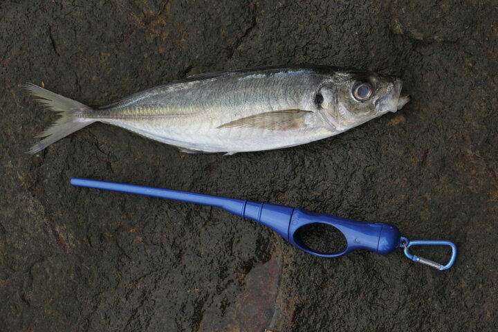 楽天市場 ルミカ Lumica 神経絞めset Short 22cm アジ サバ イサキ 根魚等釣った魚を最高の鮮度で持ち帰る 神経しめ 神経じめ 血抜き ウエストコースト アウトドアshop 楽天市場 ルミカ Lumica 神経絞めset Short 22cm アジ サバ イサキ 根魚等釣った魚を最高の鮮度で持ち帰る 神経しめ 神経じめ 血抜き ウエストコースト アウトドアshop