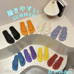 r[`T_ T_ Xbp ėp fB[X  ؂ ₷ V[Y tbg C C r 