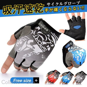 TCNO[u w؂ pbh ] Y fB[X Ռz TCNOO[u  [hoCN  ʋC