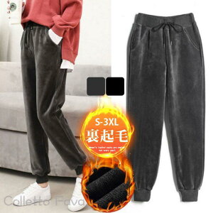 XEFbgpc WK[pc fB[X {A N g Y{ X|[c  [EFA JWA ̌^Jo[ r H~