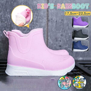 Cu[c LbY V[g h  o[V[Y qp qC ̎q j̎q CV[Y ɂ JC ʉ ʊw 